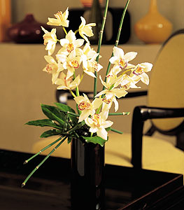  stanbul iek Sat iekiler  cam yada mika vazo ierisinde dal orkide