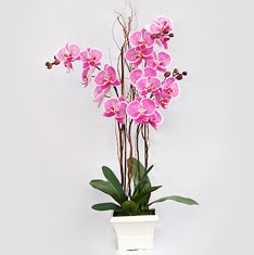  stanbul iek Sat cicekciler , cicek siparisi  2 adet orkide - 2 dal orkide