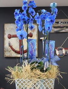 4 dall zel mavi orkide  stanbul iek Sat iek siparii vermek 