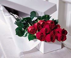  İstanbul Çiçek Satışı çiçek satışı  özel kutuda 12 adet gül