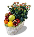  İstanbul Çiçek Satışı İnternetten çiçek siparişi  meyva sepeti ve kalanche