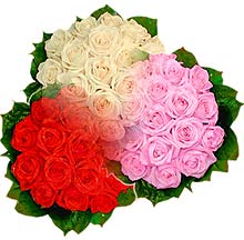 3 renkte gül seven sever   İstanbul Çiçek Satışı çiçek , çiçekçi , çiçekçilik 