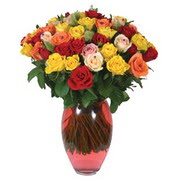 51 adet gül ve kaliteli vazo   İstanbul Çiçek Satışı çiçek gönderme sitemiz güvenlidir 
