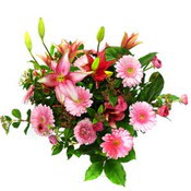 lilyum ve gerbera çiçekleri - çiçek seçimi -  İstanbul Çiçek Satışı çiçek gönderme 