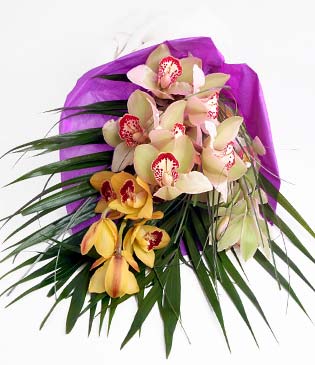  İstanbul Çiçek Satışı cicekciler , cicek siparisi  1 adet dal orkide buket halinde sunulmakta