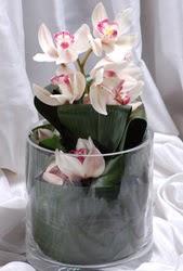  İstanbul Çiçek Satışı internetten çiçek siparişi  Cam yada mika vazo içerisinde tek dal orkide