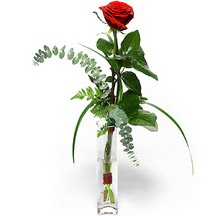  İstanbul Çiçek Satışı 14 şubat sevgililer günü çiçek  Sana deger veriyorum bir adet gül cam yada mika vazoda