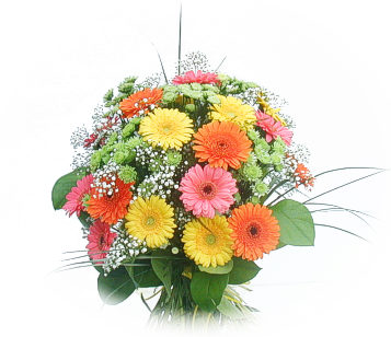 13 adet gerbera çiçegi buketi  İstanbul Çiçek Satışı online çiçek gönderme sipariş 