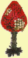  İstanbul Çiçek Satışı çiçek gönderme  dügün açilis çiçekleri  İstanbul Çiçek Satışı çiçek online çiçek siparişi 