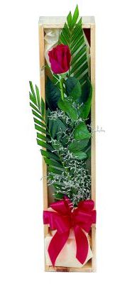 1 adet kutuda kirmizi gül  İstanbul Çiçek Satışı çiçek gönderme sitemiz güvenlidir 