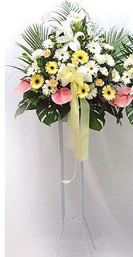  İstanbul Çiçek Satışı online çiçek gönderme sipariş   perförje çiçegi dügün çiçekleri