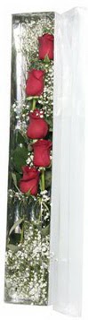  İstanbul Çiçek Satışı çiçek siparişi sitesi   5 adet gülden kutu güller