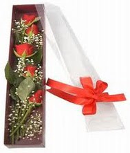 kutu içinde 5 adet kirmizi gül  İstanbul Çiçek Satışı internetten çiçek siparişi 