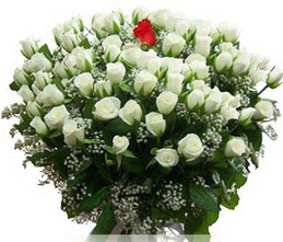  İstanbul Çiçek Satışı internetten çiçek satışı  100 adet beyaz 1 adet kirmizi gül buketi
