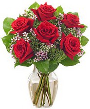 Kız arkadaşıma hediye 6 kırmızı gül  İstanbul Çiçek Satışı internetten çiçek siparişi 
