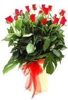 Vazoda 15 adet kırmızı gül  İstanbul Çiçek Satışı online çiçek gönderme sipariş 