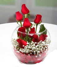 Cam fanus içerisinde 9 adet kırmızı gül  İstanbul Çiçek Satışı çiçek siparişi vermek 