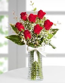 Cam vazoda 7 adet kırmızı gül  İstanbul Çiçek Satışı çiçek , çiçekçi , çiçekçilik 