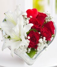 1 kazablanka 5 kırmızı gül kalpte  İstanbul Çiçek Satışı internetten çiçek siparişi 