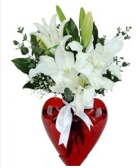 Kalp vazoda 3 kazablanka çiçeği  İstanbul Çiçek Satışı İnternetten çiçek siparişi 