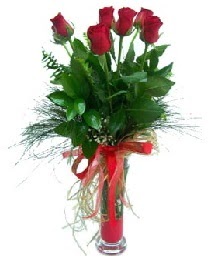vazo içerisinde 5 kırmızı gül  İstanbul Çiçek Satışı güvenli kaliteli hızlı çiçek 