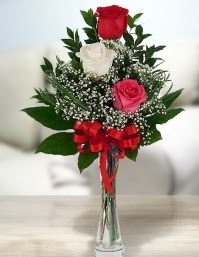 Camda 2 kırmızı 1 beyaz gül  İstanbul Çiçek Satışı ucuz çiçek gönder 