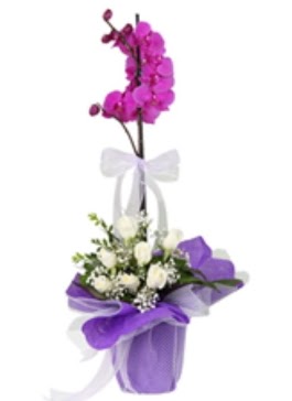 1 dal mor orkide ve 11 adet beyaz gül  İstanbul Çiçek Satışı 14 şubat sevgililer günü çiçek 