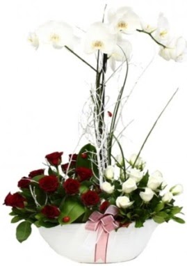 Tek dal beyaz orkide 8 beyaz 8 kırmızı gül  İstanbul Çiçek Satışı çiçek satışı 