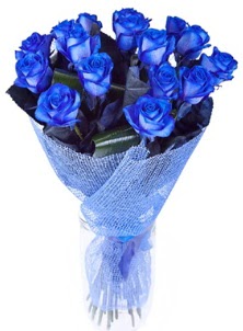 12 adet mavi gül buketi  İstanbul Çiçek Satışı çiçek servisi , çiçekçi adresleri 