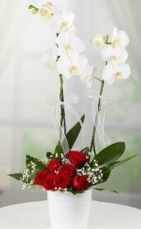2 dallı beyaz orkide 7 adet kırmızı gül  İstanbul Çiçek Satışı 14 şubat sevgililer günü çiçek 