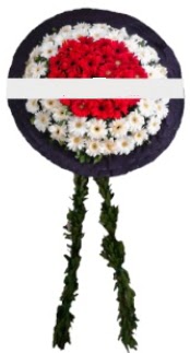 mozele çiçeği  İstanbul Çiçek Satışı hediye sevgilime hediye çiçek 