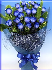 19 adet eşsiz mavi gül buketi  İstanbul Çiçek Satışı uluslararası çiçek gönderme 