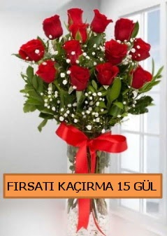  15 İthal kırmızı gül büyük başlı orjinal  İstanbul Çiçek Satışı çiçek siparişi sitesi 