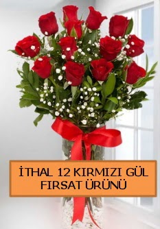  İthal kırmızı 12 adet kaliteli gül  İstanbul Çiçek Satışı ucuz çiçek gönder 