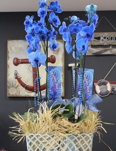 4 dallı özel mavi orkide  İstanbul Çiçek Satışı çiçek siparişi vermek 