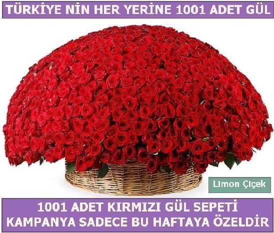 1001 Adet kırmızı gül Bu haftaya özel  İstanbul Çiçek Satışı İnternetten çiçek siparişi 