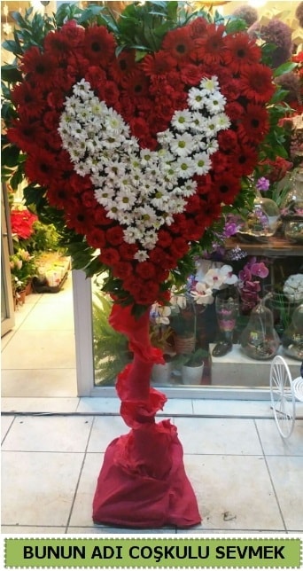Coşkulu bir aşk çiçeği  İstanbul Çiçek Satışı ucuz çiçek gönder 
