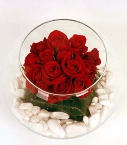 Cam fanusta 11 adet kırmızı gül  İstanbul Çiçek Satışı çiçek gönderme 