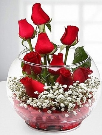 Kırmızı Mutluluk fanusta 9 kırmızı gül  İstanbul Çiçek Satışı çiçek siparişi sitesi 