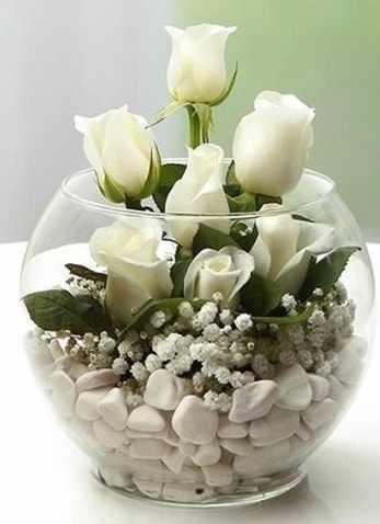 Beyaz Mutluluk 9 beyaz gül fanusta  İstanbul Çiçek Satışı çiçek siparişi sitesi 