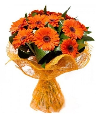 11 adet turuncu gerbera buketi  İstanbul Çiçek Satışı çiçekçiler 