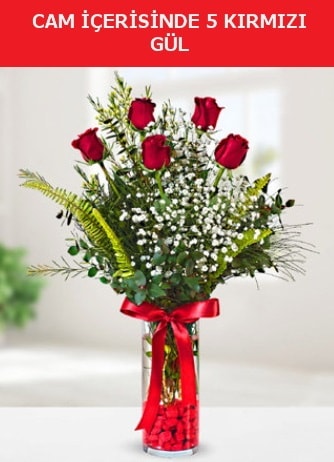 Cam içerisinde 5 adet kırmızı gül  İstanbul Çiçek Satışı çiçek siparişi sitesi 