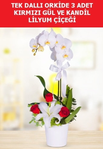 Tek dallı orkide 3 gül ve kandil lilyum  İstanbul Çiçek Satışı çiçek yolla 