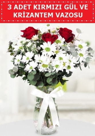 3 kırmızı gül ve camda krizantem çiçekleri  İstanbul Çiçek Satışı çiçek gönderme 