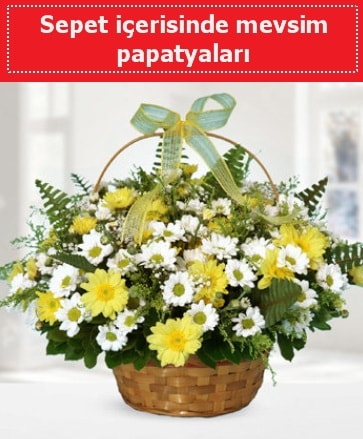Sepet içerisinde mevsim papatyaları  İstanbul Çiçek Satışı ucuz çiçek gönder 