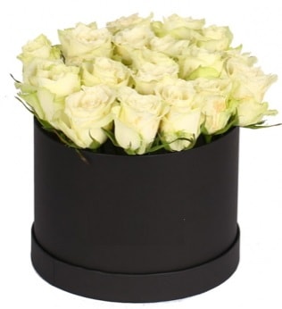 19 adet beyaz gülden görsel kutu çiçeği  İstanbul Çiçek Satışı çiçek siparişi sitesi 