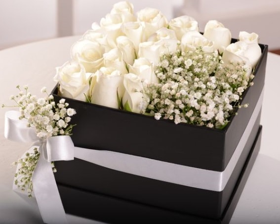Kutu içerisinde 19 beyaz gül ve cipsofilya  İstanbul Çiçek Satışı çiçek , çiçekçi , çiçekçilik 