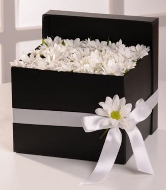 Kutuda beyaz krizantem papatya çiçekleri  İstanbul Çiçek Satışı çiçek siparişi sitesi  