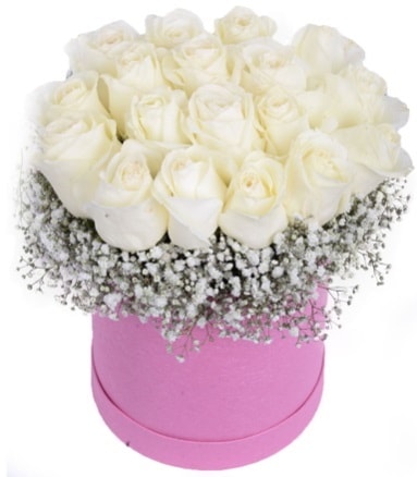 Renkli kutuda 19 adet beyaz gül  İstanbul Çiçek Satışı internetten çiçek satışı 