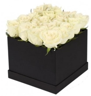 Kare kutuda 19 adet beyaz gül aranjmanı  İstanbul Çiçek Satışı çiçekçi telefonları 